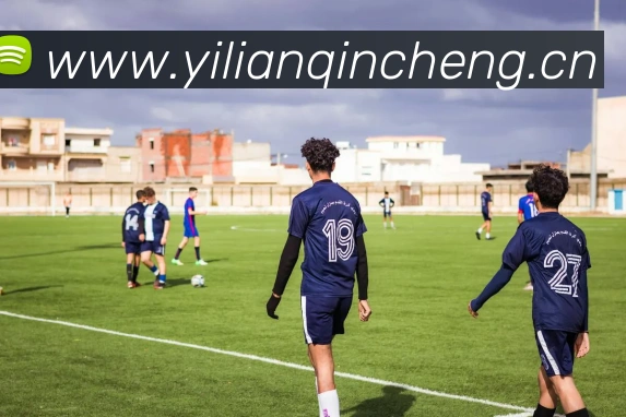 半岛官网网页版平台生态图